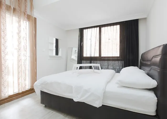 One-Bedroom Apartment Sofa Bed
