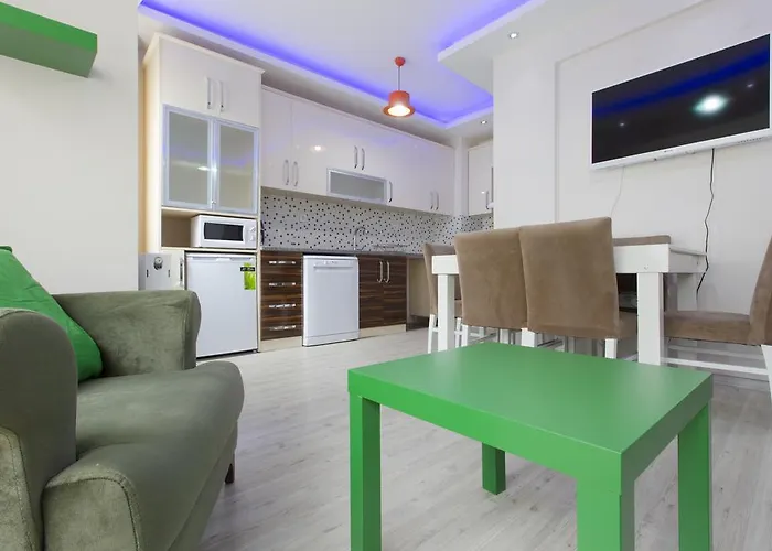 One-Bedroom Apartment Sofa Bed